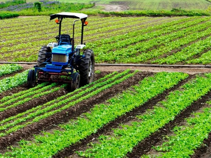Tục ngữ về sản xuất nông nghiệp