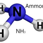 Amoniac (NH3) Là Gì? Cấu trúc phân tử amoniac