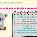 Một cây làm chẳng nên non ba cây chụm lại nên hòn núi cao