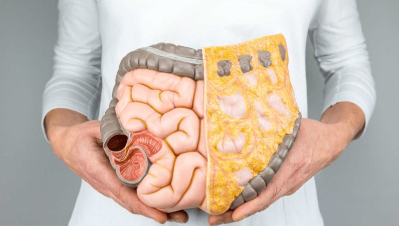 Nhịn ăn giúp hình ảnh chụp gan mật được rõ nét hơn