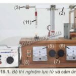 Quy tắc bàn tay trái