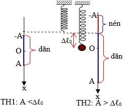 Con lắc lò xo thẳng đứng