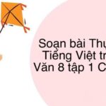Đồng ruộng ngút ngát