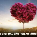 ca-dao-tuc-ngu-ve-yeu-thuong-con-nguoi-voh-0