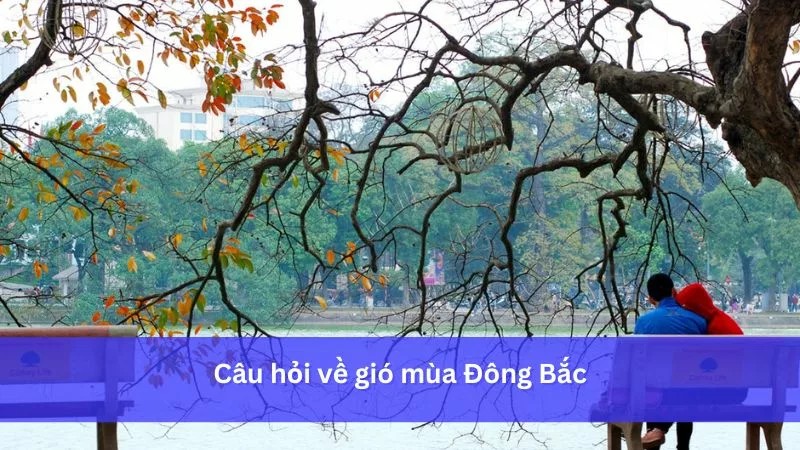 Gió mùa Đông Bắc và dãy núi