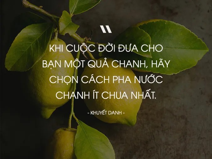 ảnh minh họa những câu nói hài hước về sự lựa chọn