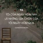 ảnh minh họa những câu nói hay về sự lựa chọn