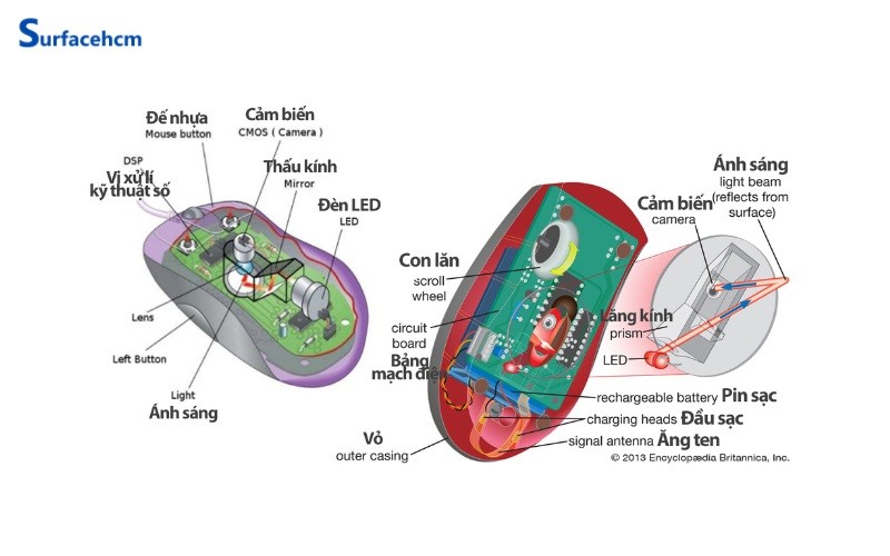 Cấu tạo chi tiết của chuột máy tính