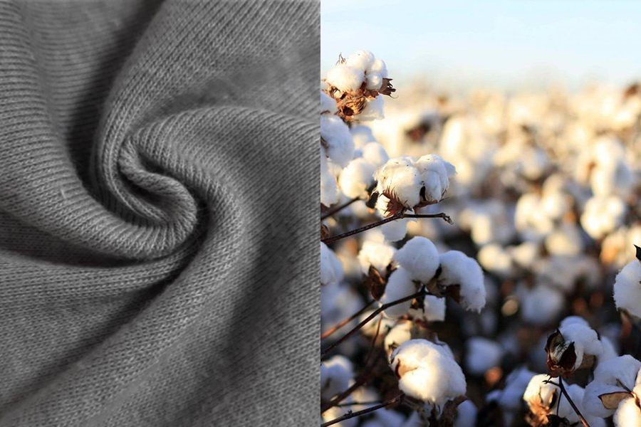 Vải Bông (Cotton) mềm mại, thoáng khí, được ưa chuộng trong ngành may mặc