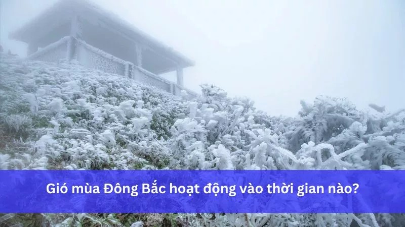 Thời gian hoạt động của gió mùa Đông Bắc