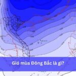 Gió mùa Đông Bắc mang đến mùa đông lạnh giá