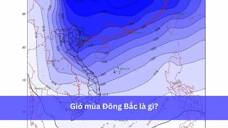 Gió mùa Đông Bắc mang đến mùa đông lạnh giá