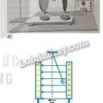 Điện trường đều và không đều