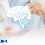 mô tả hệ thần kinh người