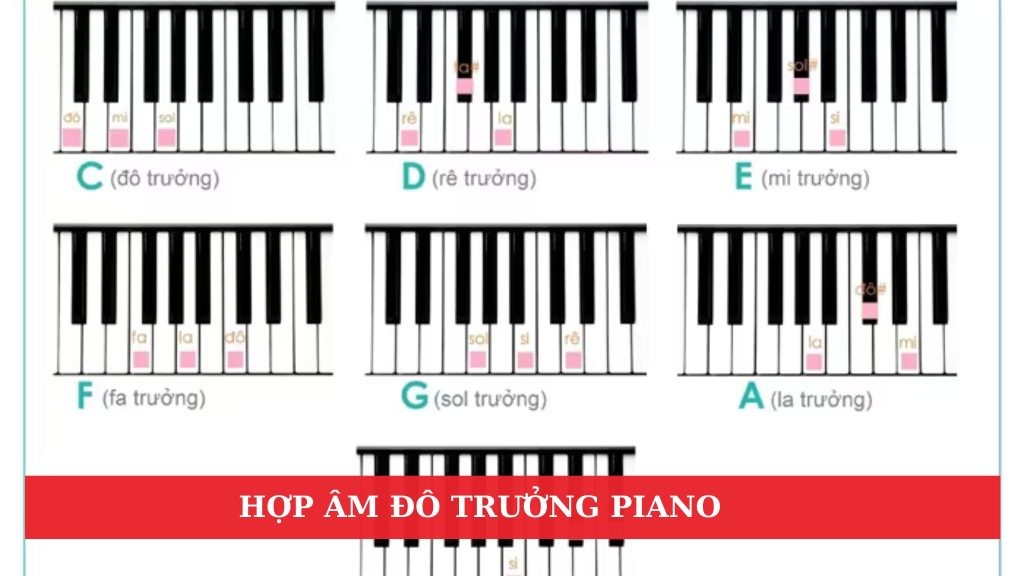 cau-truc-am-giai-do-truong