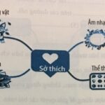Sơ đồ tư duy giúp hệ thống hóa kiến thức