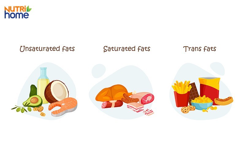 Chế độ ăn cân bằng lipid cần hạn chế chất béo bão hòa (saturated fat) và chuyển hóa (trans fat), đồng thời tăng cường chất béo không bão hòa (unsaturated fat)