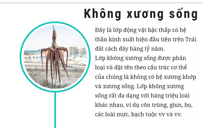 Các lớp động vật cơ bản