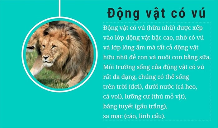 Phân loại lớp cá