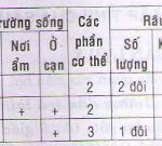 Bộ xương ngoài của tôm