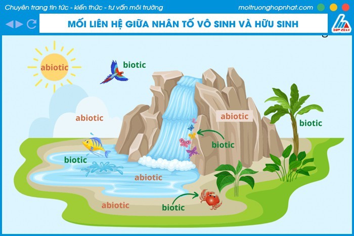 Bảo dưỡng định kỳ xe tải
