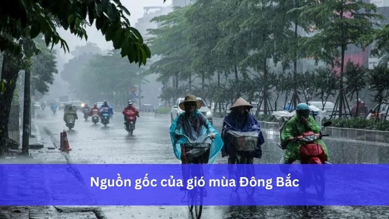 Áp cao Siberia - &quot;cái nôi&quot; của gió mùa Đông Bắc