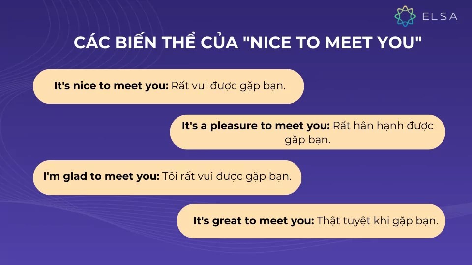 Các biến thể của Nice to meet you