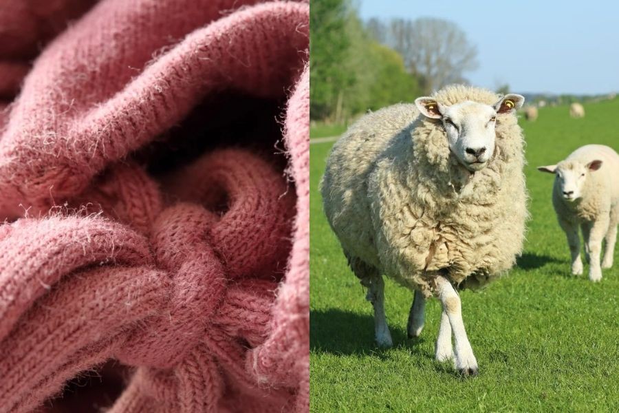 Vải Len (Wool) giữ ấm tốt, thích hợp cho trang phục mùa đông