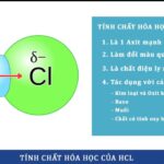 Phản ứng giữa kim loại và axit clohidric