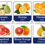 Các loại trái cây có múi phổ biến