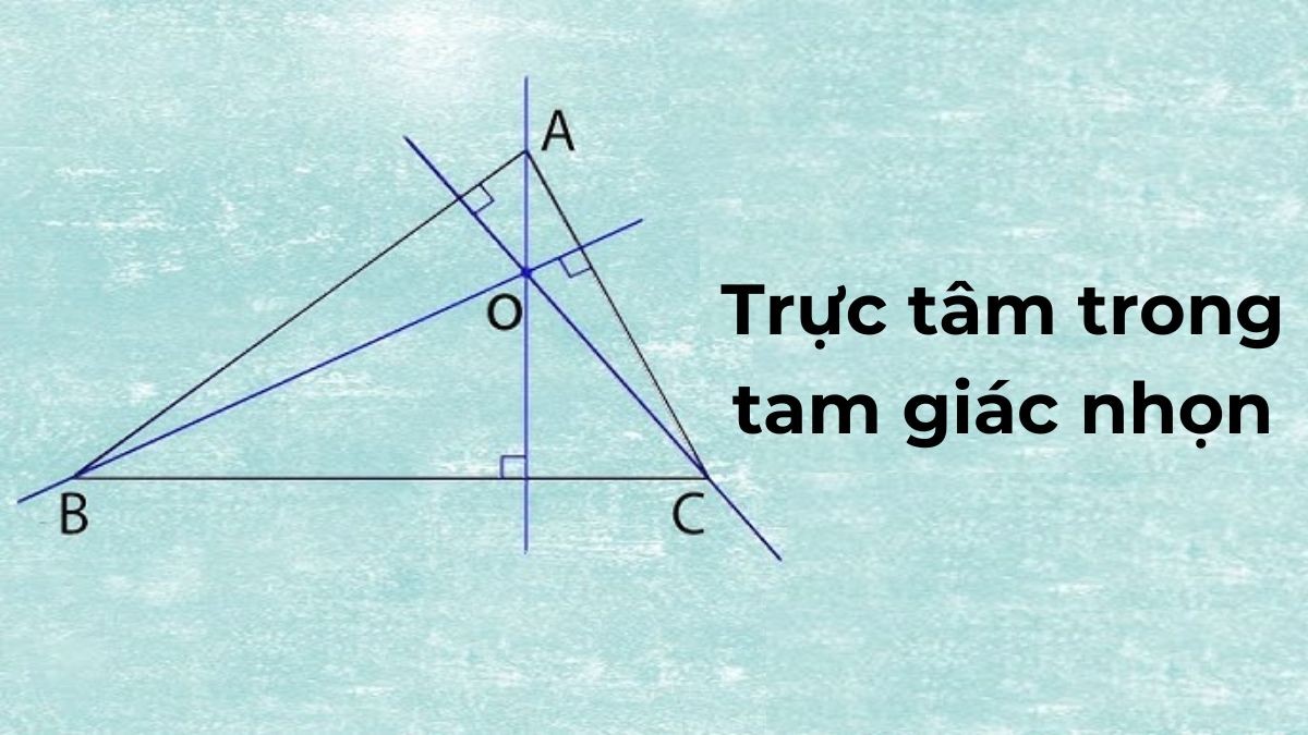 Trực Tâm Tam Giác Nhọn