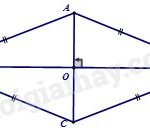 Sàn nhà lát gạch hình thoi tạo hiệu ứng thẩm mỹ cao