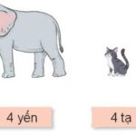 Hình ảnh xe tải các loại với tải trọng khác nhau