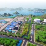 Biến động giá than
