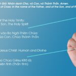Năm ngón tay khi làm dấu Thánh Giá biểu tượng cho điều gì?