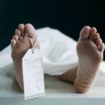 Bảng giá tham khảo các bộ phận cơ thể người.