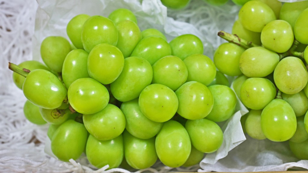 Những chùm nho mẫu đơn xanh mướt