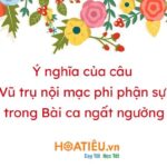 Nguyễn Công Trứ
