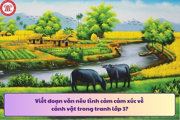 Đoạn văn nêu tình cảm cảm xúc về cảnh vật trong tranh lớp 3