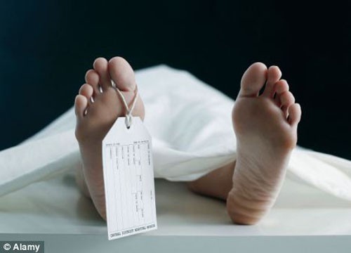 Bảng giá nội tạng con người trên chợ đen phản ánh sự bất hợp pháp và nhu cầu cấy ghép cấp thiết