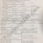 Phản ứng giữa kim loại kiềm và nước