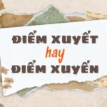 Điểm xuyết cho không gian sống