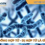 So sánh thể đồng hợp và thể dị hợp trong di truyền học