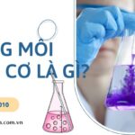 Dung môi hữu cơ là gì
