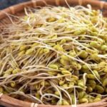 Giá trị dinh dưỡng tuyệt vời của giá đỗ