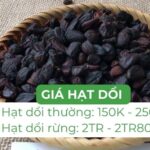 Yếu tố ảnh hưởng giá hạt dổi