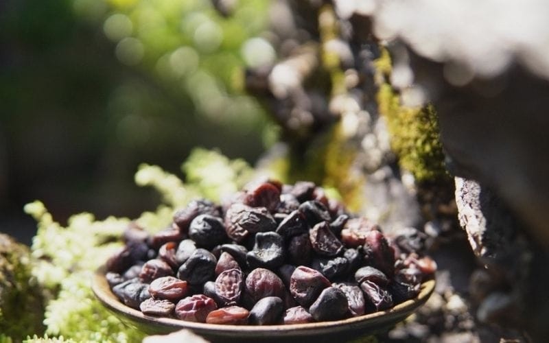 Phân biệt dổi nếp và dổi tẻ