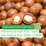 Bảng giá hạt macca chi tiết