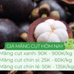 Giá măng cụt xanh và măng cụt chín trên thị trường hiện nay