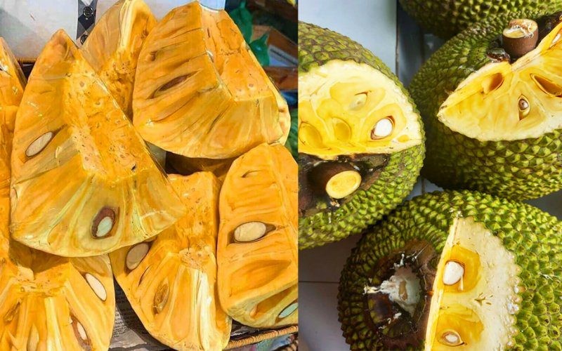 Mẹo chọn mít siêu sớm ngon